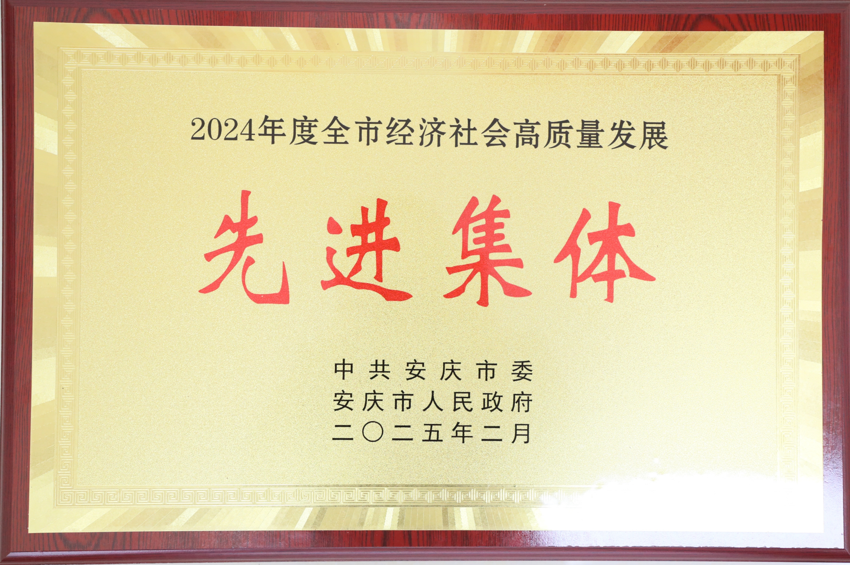 安庆市经济社会高质量生长先进整体.jpg
