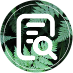 真人麻将(官方)最新IOS/安卓版/手机版APP下载